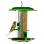 Bird Feeder