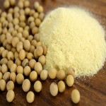 Soybean Extract