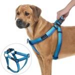 Dog Harness