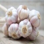 Fresh Garlic