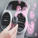 Car Fragrance