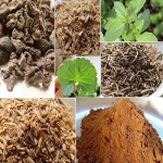 Ayurvedic & Herbal Powders