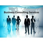 Business Consultant Service