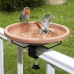 Bird Baths