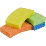 Sponges