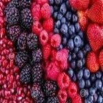 Fresh Berries