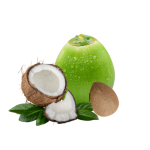 Coconut