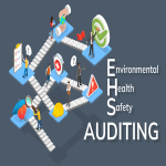 Ehs Audit Service