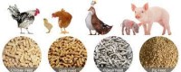 Bird, Poultry & Animal Food