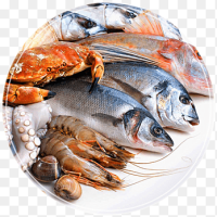 Seafood