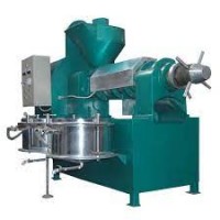 Oil Plant  Extraction Machinery